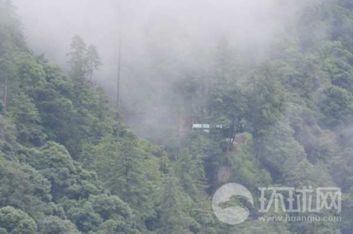 ӡ߅ӡ܊(bo)վ[ԭʼɭ