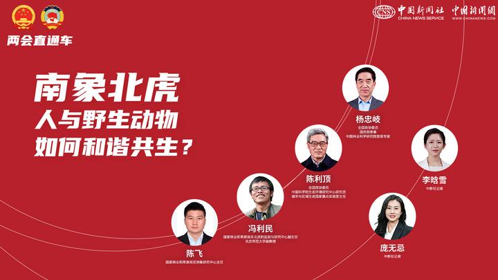 兩會(huì)直通車：南象北虎 人與野生動(dòng)物如何和諧共生？