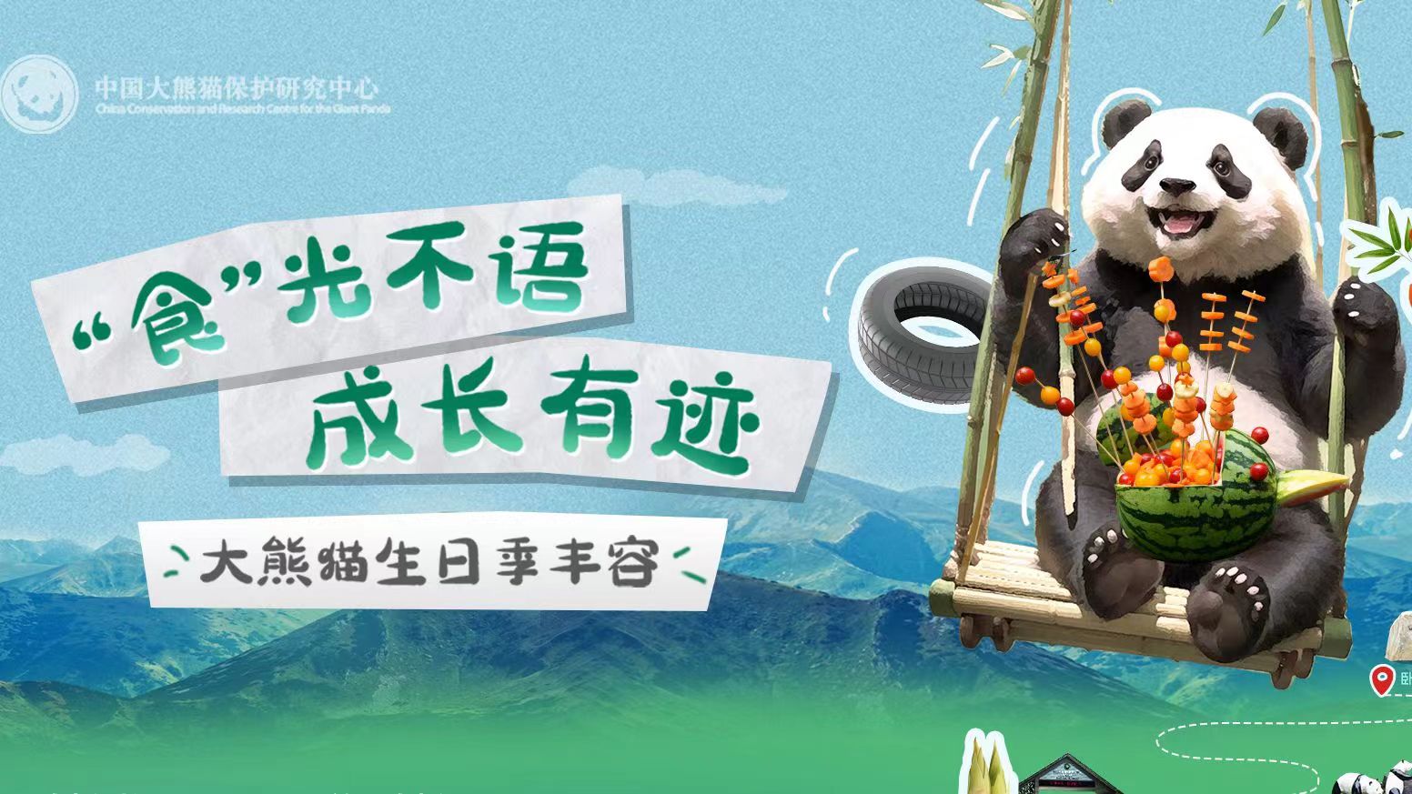  大熊貓也過中秋節(jié)？一起來看國寶的中秋禮物 